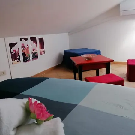 Casa Del Loto